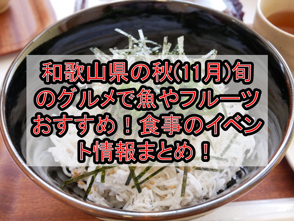 和歌山県の秋(11月)旬のグルメで魚やフルーツおすすめ!食事のイベント情報まとめ!