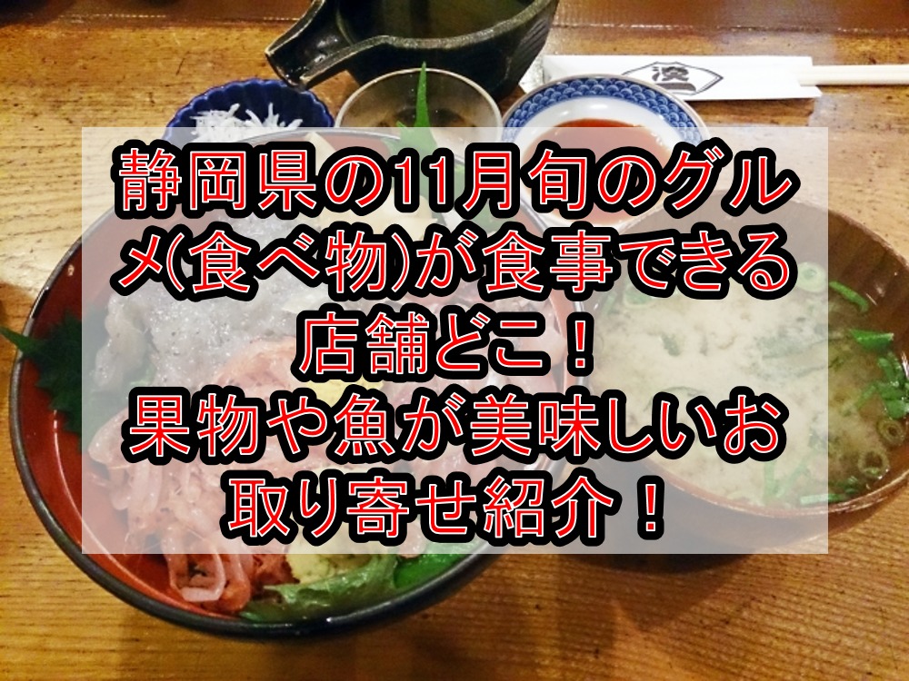 静岡県の11月旬のグルメ 食べ物 が食事できる店舗どこ 果物や魚が美味しいお取り寄せ紹介 旅する亜人ちゃん