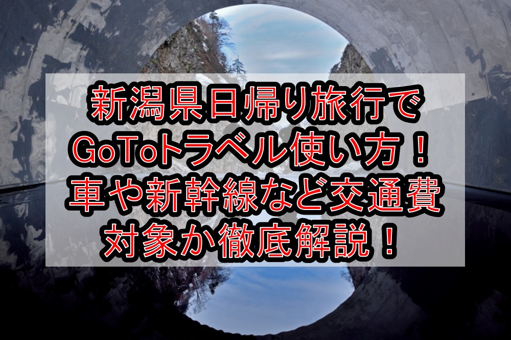 新潟県日帰り旅行 温泉でgotoトラベル使い方 車や新幹線など交通費対象か徹底解説 旅する亜人ちゃん