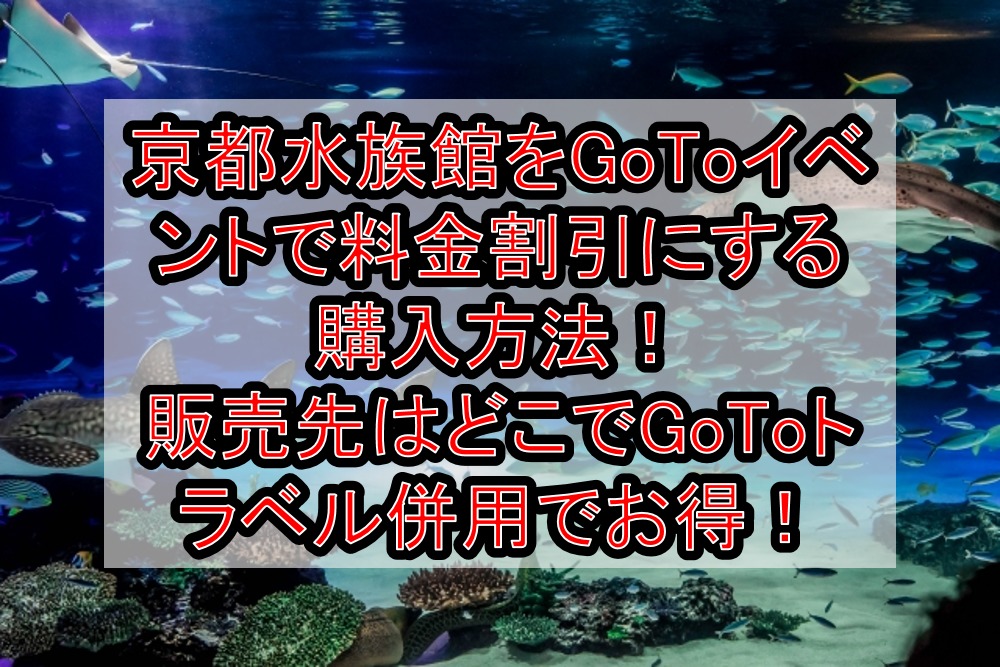 京都水族館をgotoイベントで料金割引にする購入方法 販売先はどこでgotoトラベル併用で徹底お得 旅する亜人ちゃん