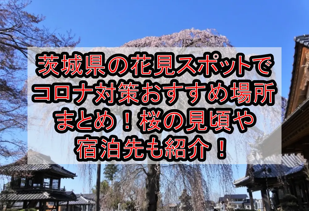 茨城県の花見スポットでコロナ対策おすすめ場所まとめ！桜の見頃や宿泊先も紹介！【2021年最新】
