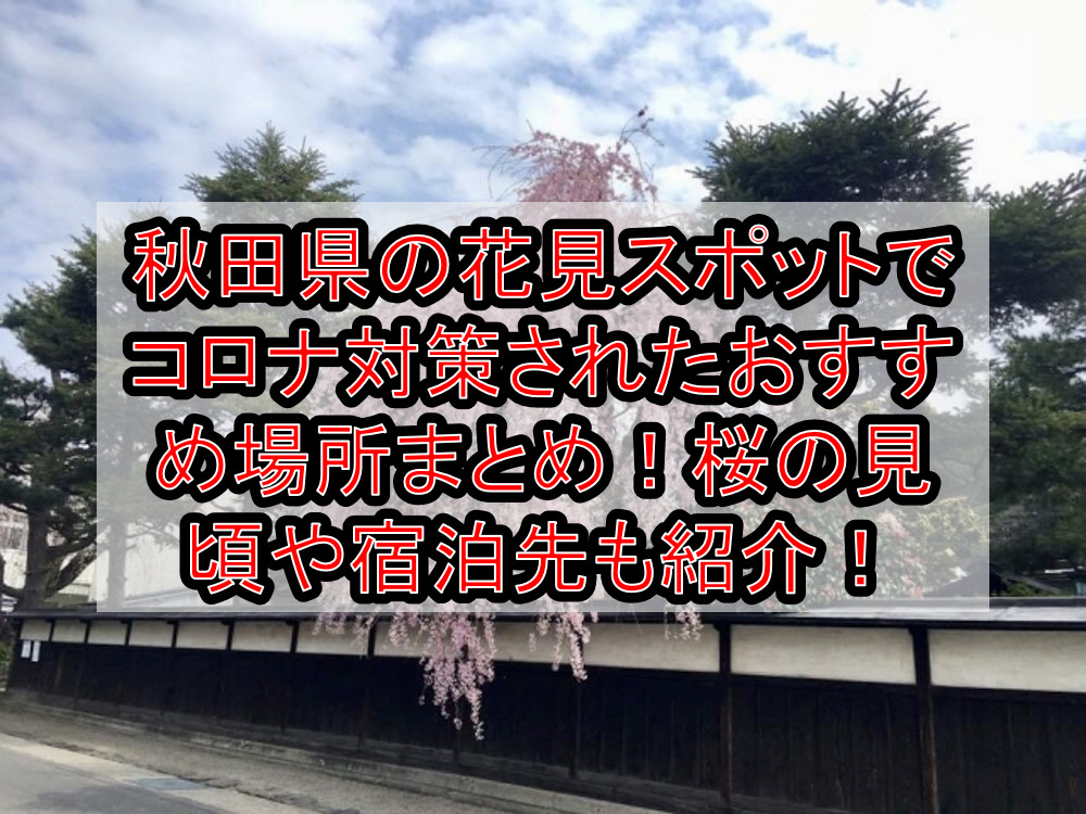 秋田県の花見スポットでコロナ対策されたおすすめ場所まとめ!桜の見頃や宿泊先も紹介!【2021最新】