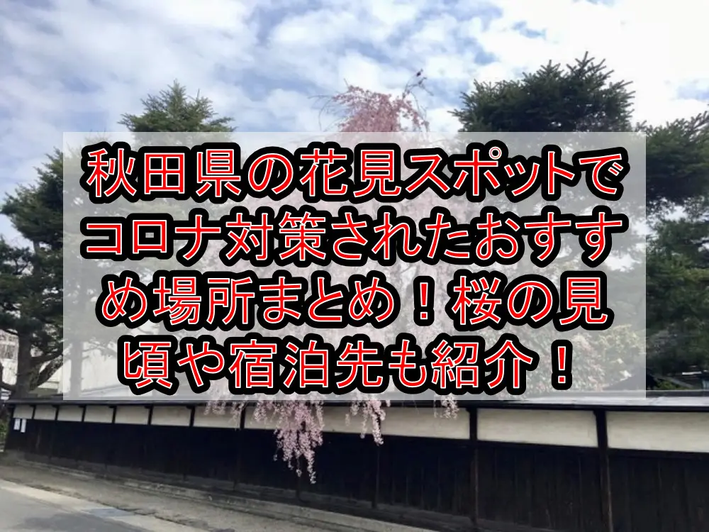 秋田県の花見スポットでコロナ対策されたおすすめ場所まとめ！桜の見頃や宿泊先も紹介！【2021最新】