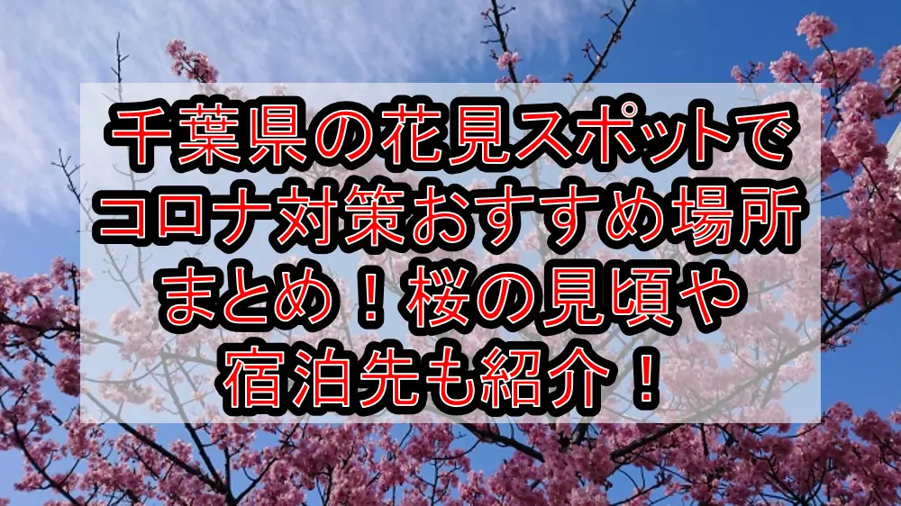 千葉県の花見スポットでコロナ対策おすすめ場所まとめ！桜の見頃や宿泊先も紹介！【2021最新】