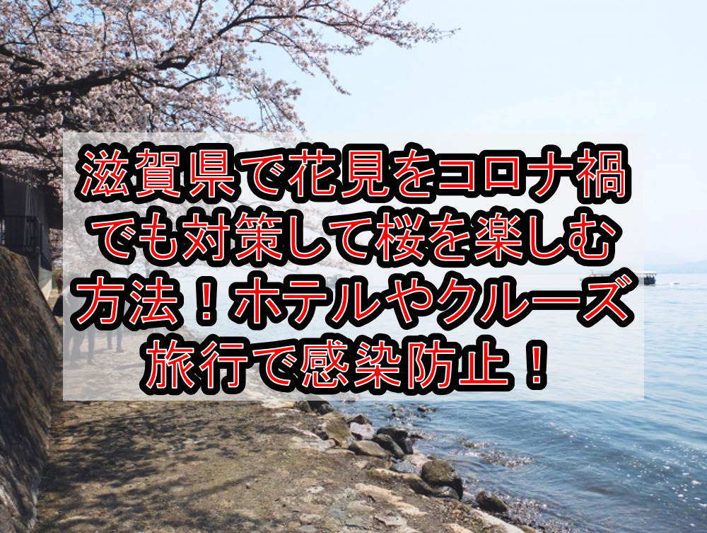 滋賀県で花見をコロナ禍でも対策して桜を楽しむ方法!ホテルやクルーズ旅行で感染防止!【2021年最新】