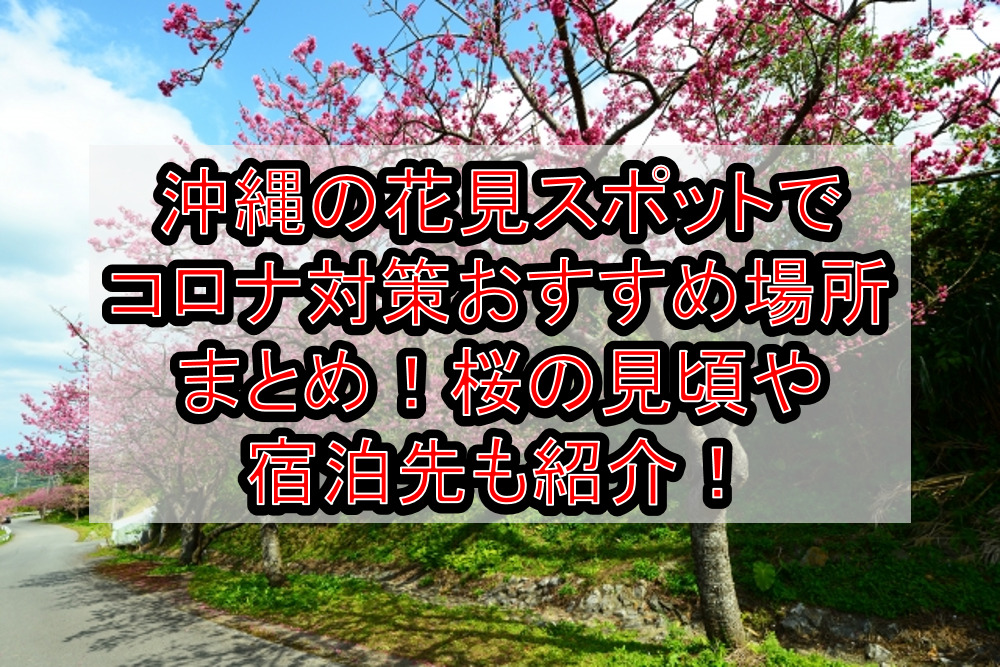 沖縄の花見スポットでコロナ対策おすすめ場所まとめ！桜の見頃や宿泊先も紹介！【2021年最新】