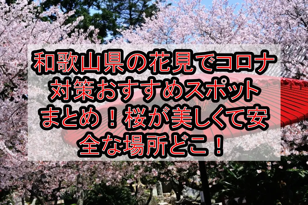和歌山県の花見でコロナ対策おすすめスポットまとめ！桜が美しくて安全な場所どこ！