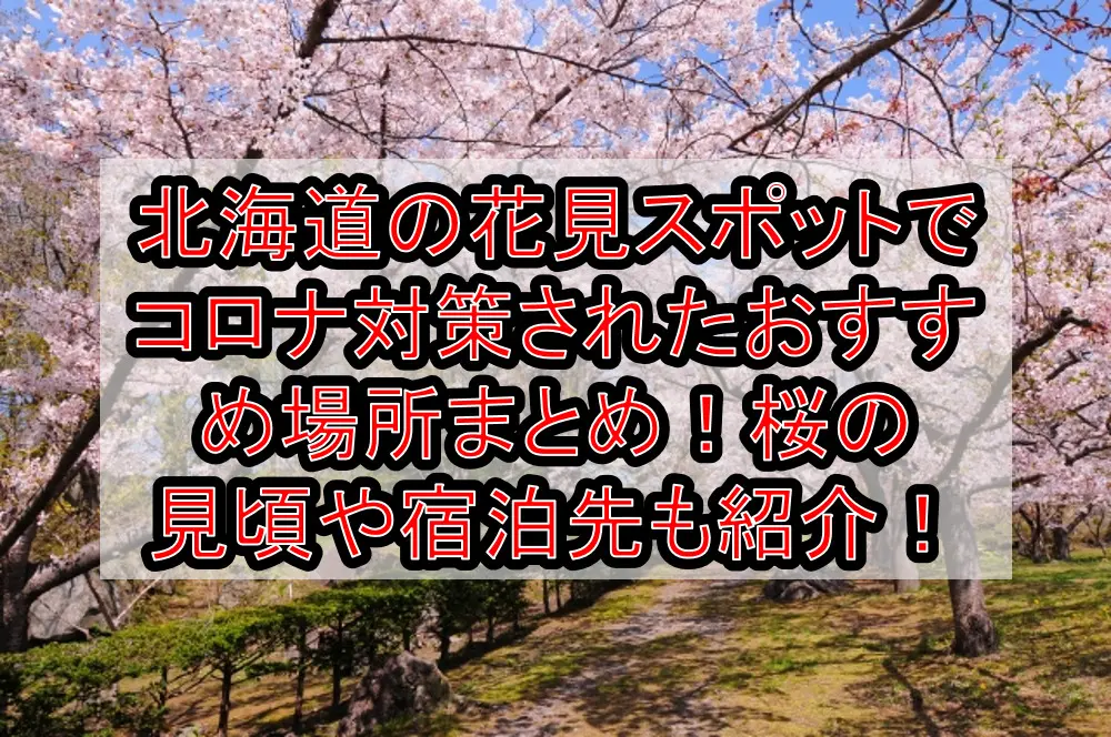 北海道の花見スポットでコロナ対策されたおすすめ場所まとめ！桜の見頃や宿泊先も紹介！