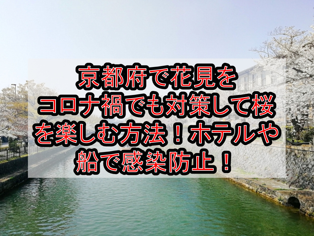 京都府で花見をコロナ禍でも対策して桜を楽しむ方法!ホテルや船で感染防止!【2021年最新】