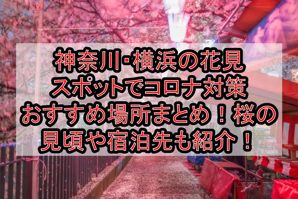 神奈川・横浜の花見スポットでコロナ対策おすすめ場所まとめ!桜の見頃や宿泊先も紹介!【2021最新】