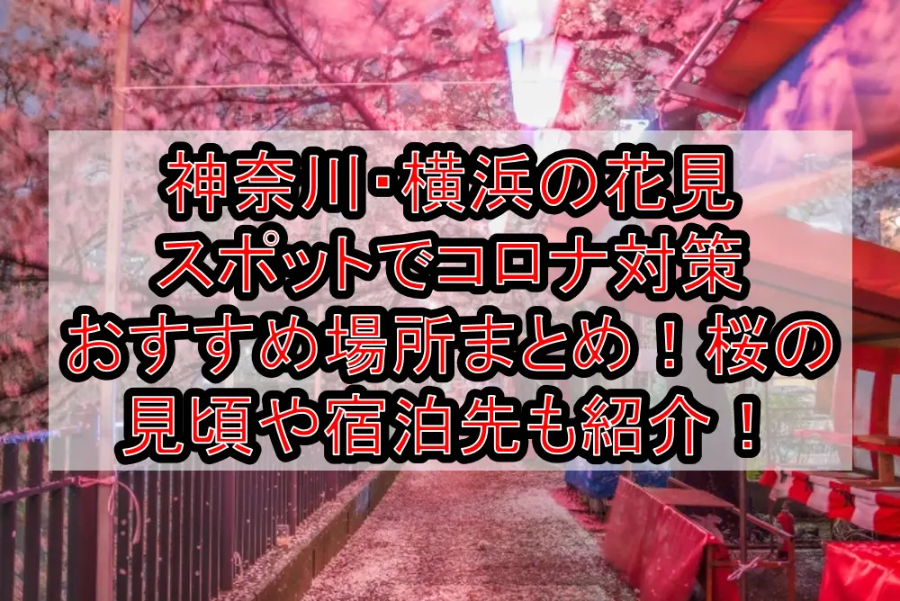 神奈川・横浜の花見スポットでコロナ対策おすすめ場所まとめ！桜の見頃や宿泊先も紹介！【2021最新】