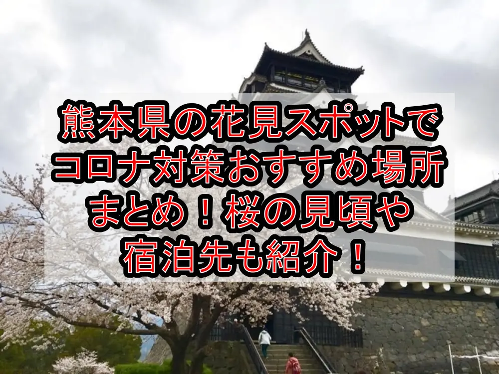 熊本県の花見スポットでコロナ対策おすすめ場所まとめ！桜の見頃や宿泊先も紹介！【2021年最新】