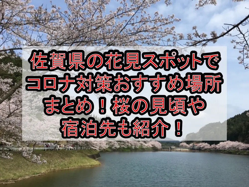佐賀県の花見スポットでコロナ対策おすすめ場所まとめ！桜の見頃や宿泊先も紹介！