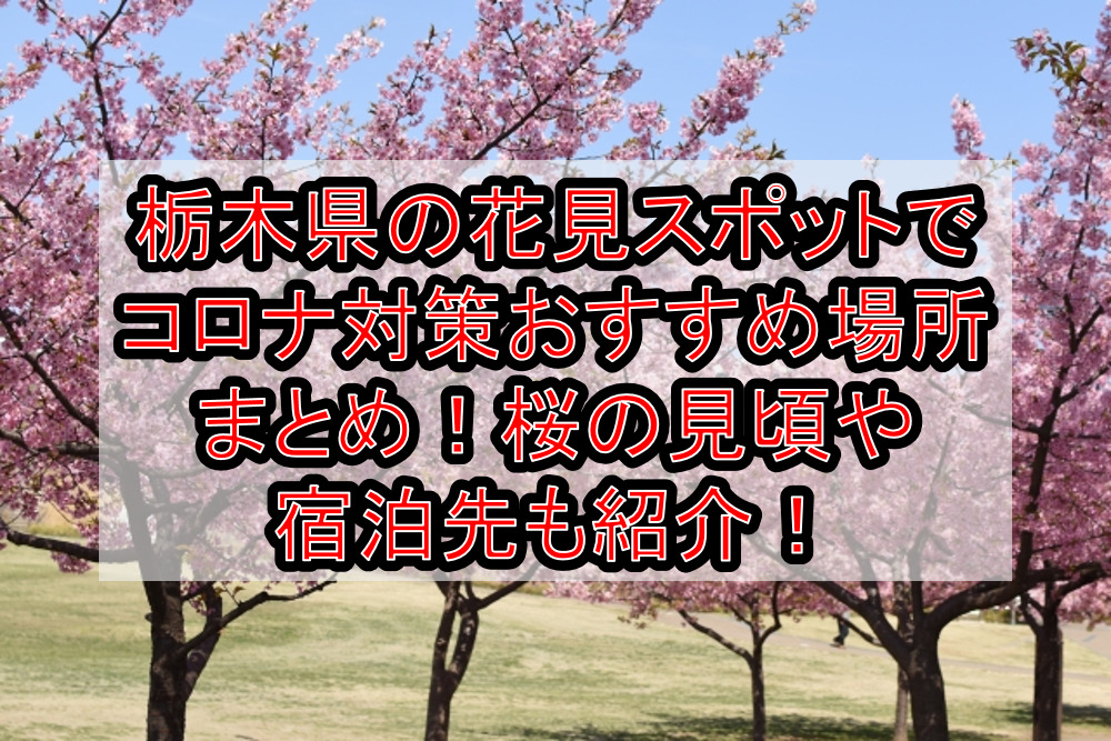 栃木県の花見スポットでコロナ対策おすすめ場所まとめ 桜の見頃や宿泊先も紹介 21年最新 旅する亜人ちゃん