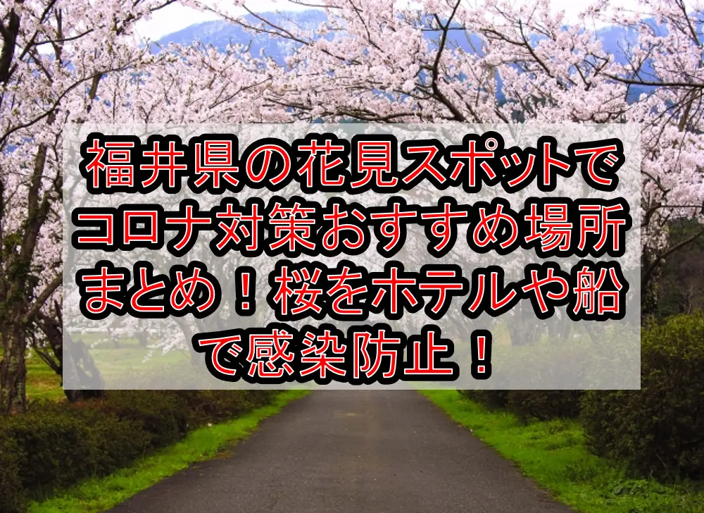福井県の花見スポットでコロナ対策おすすめ場所まとめ！桜をホテルや船で感染防止！【2021年最新】