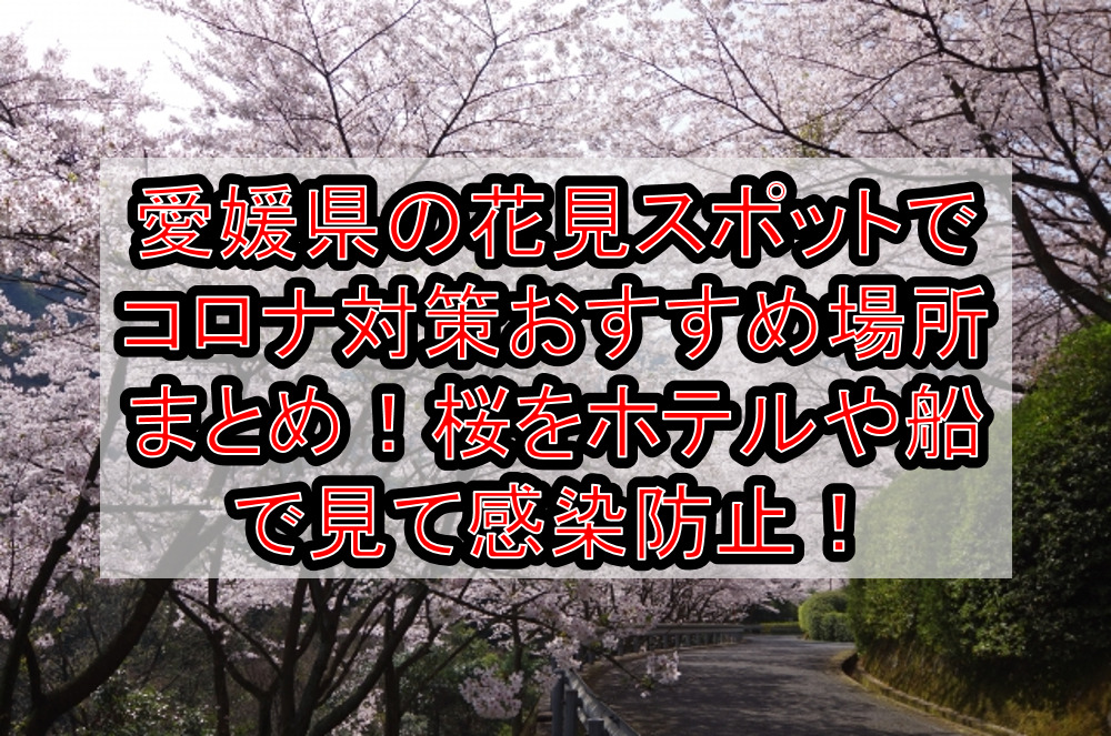 愛媛県の花見スポットでコロナ対策おすすめ場所まとめ!桜をホテルや船で見て感染防止!【2021年最新】