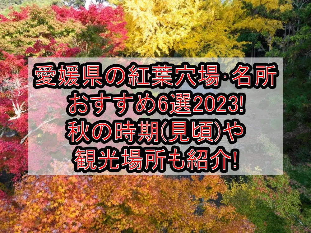 愛媛県の紅葉穴場･名所おすすめ6選2023!秋の時期(見頃)や観光場所も紹介!