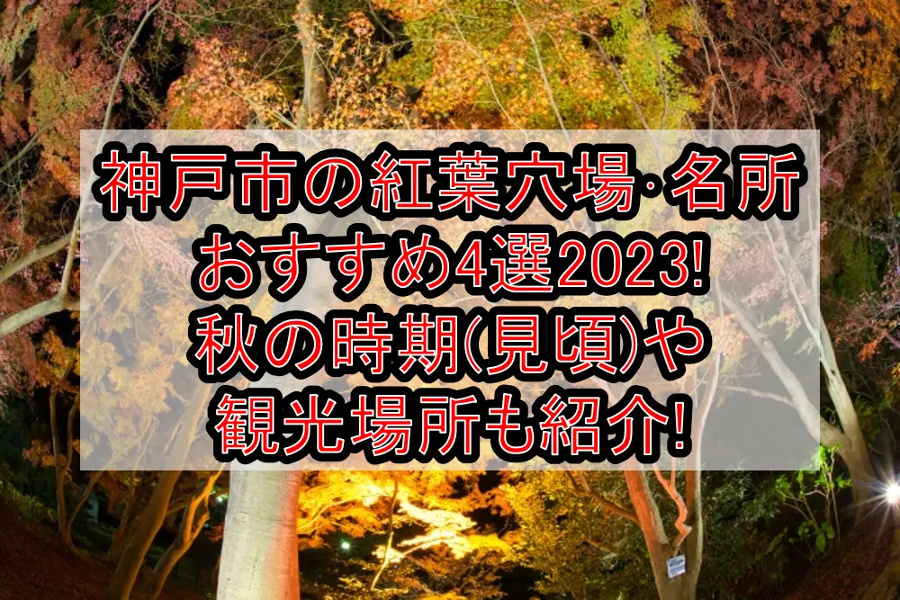 神戸市の紅葉穴場･名所おすすめ4選2023!秋の時期(見頃)や観光場所も紹介!