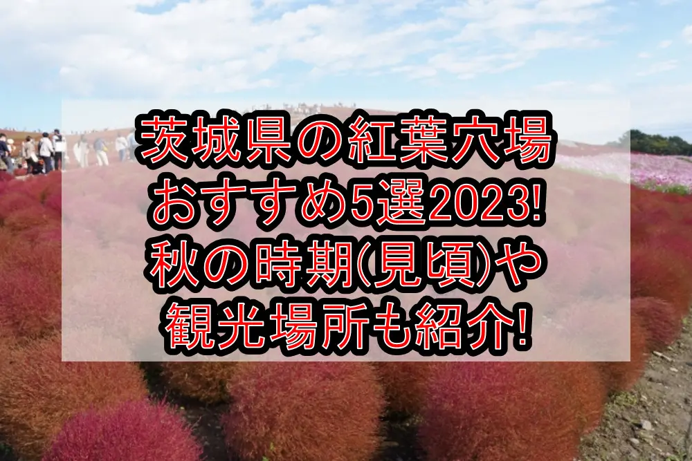 茨城県の紅葉穴場おすすめ5選2023!秋の時期(見頃)や観光場所も紹介!