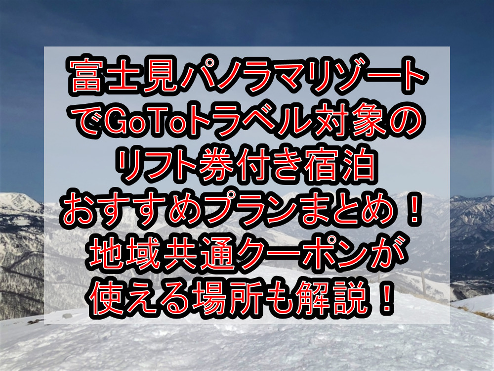 非常に高い品質 富士見パノラマリゾートゴンドラ リフトご招待券 4枚