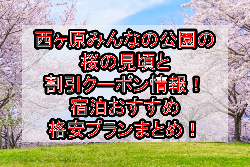西ヶ原みんなの公園の桜の見頃と周辺の割引クーポン情報2024!宿泊おすすめ格安プランまとめ!
