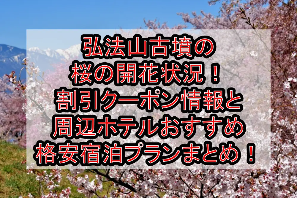 弘法山古墳の桜の開花状況2023！割引クーポン情報と周辺ホテルおすすめ格安宿泊プランまとめ！