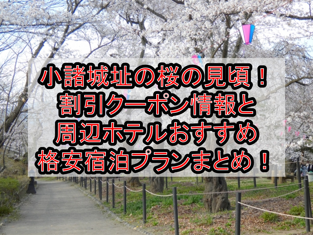 小諸城址の桜の見頃2024!割引クーポン情報と周辺ホテルおすすめ格安宿泊プランまとめ!