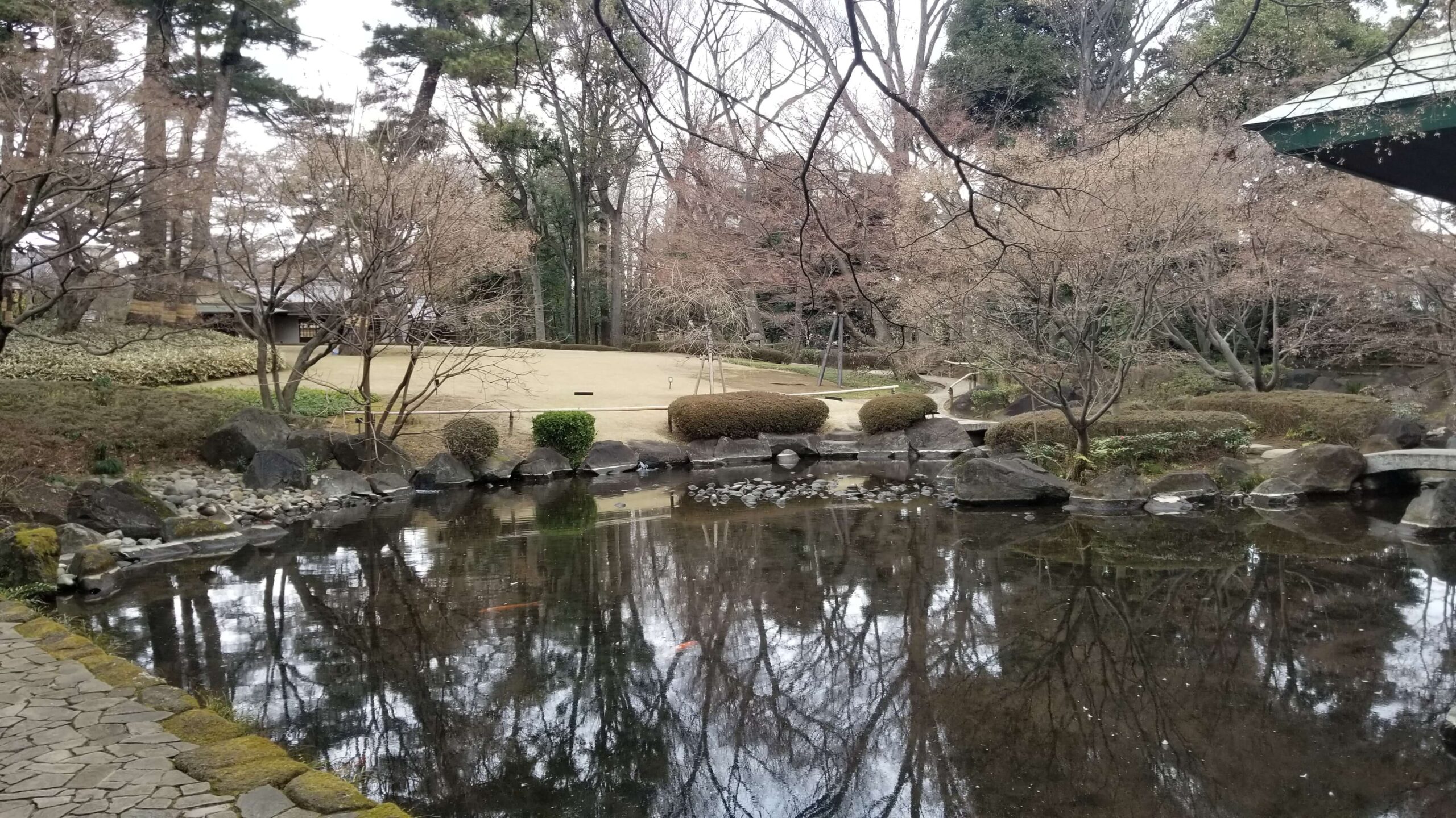 呪術廻戦 東京