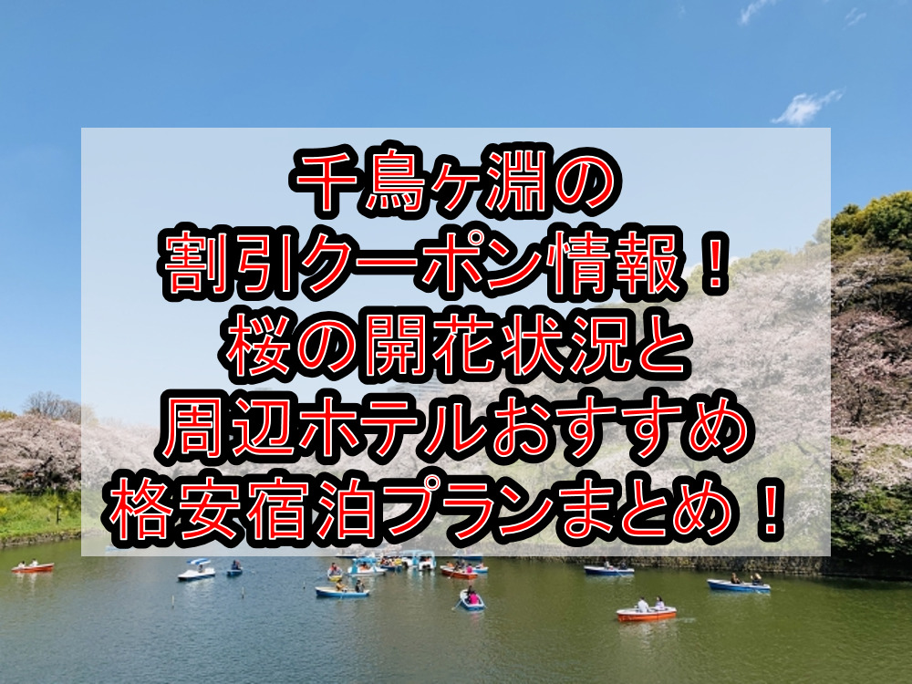 千鳥ヶ淵の割引クーポン情報2024!桜の開花状況と周辺ホテルおすすめ格安宿泊プランまとめ!