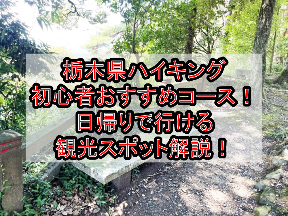 栃木県ハイキング初心者おすすめコースまとめ！日帰りで行ける観光スポット解説！