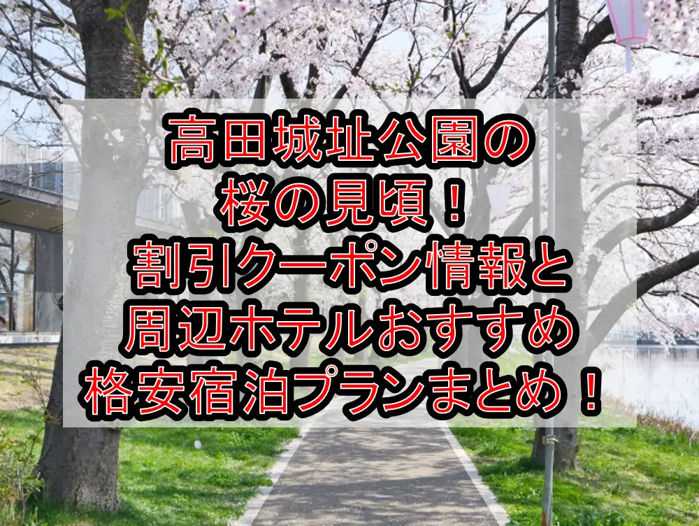 高田城址公園の桜の見頃2023！割引クーポン情報と周辺ホテルおすすめ格安宿泊プランまとめ！