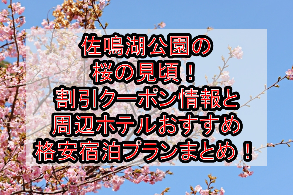 佐鳴湖公園の桜の見頃2024!割引クーポン情報と周辺ホテルおすすめ格安宿泊プランまとめ!