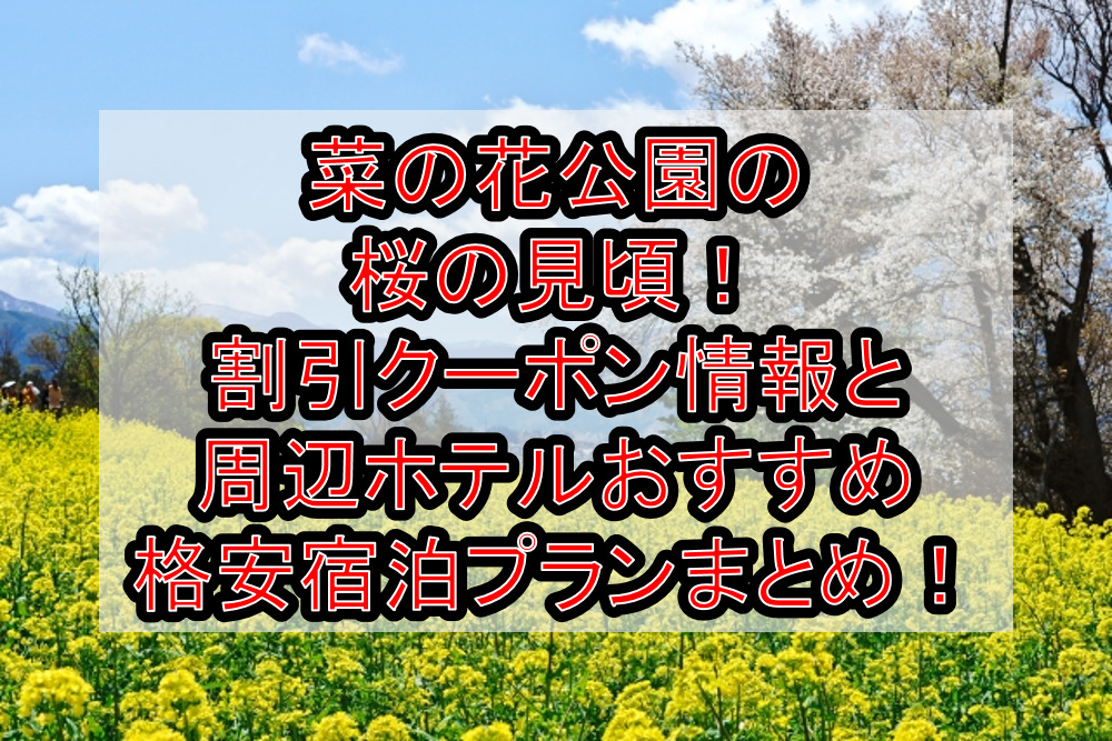 菜の花公園の桜の見頃2024!割引クーポン情報と周辺ホテルおすすめ格安宿泊プランまとめ!