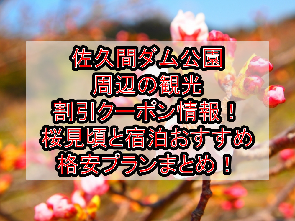 佐久間ダム公園周辺の観光割引クーポン情報2024!桜見頃と宿泊おすすめ格安プランまとめ!