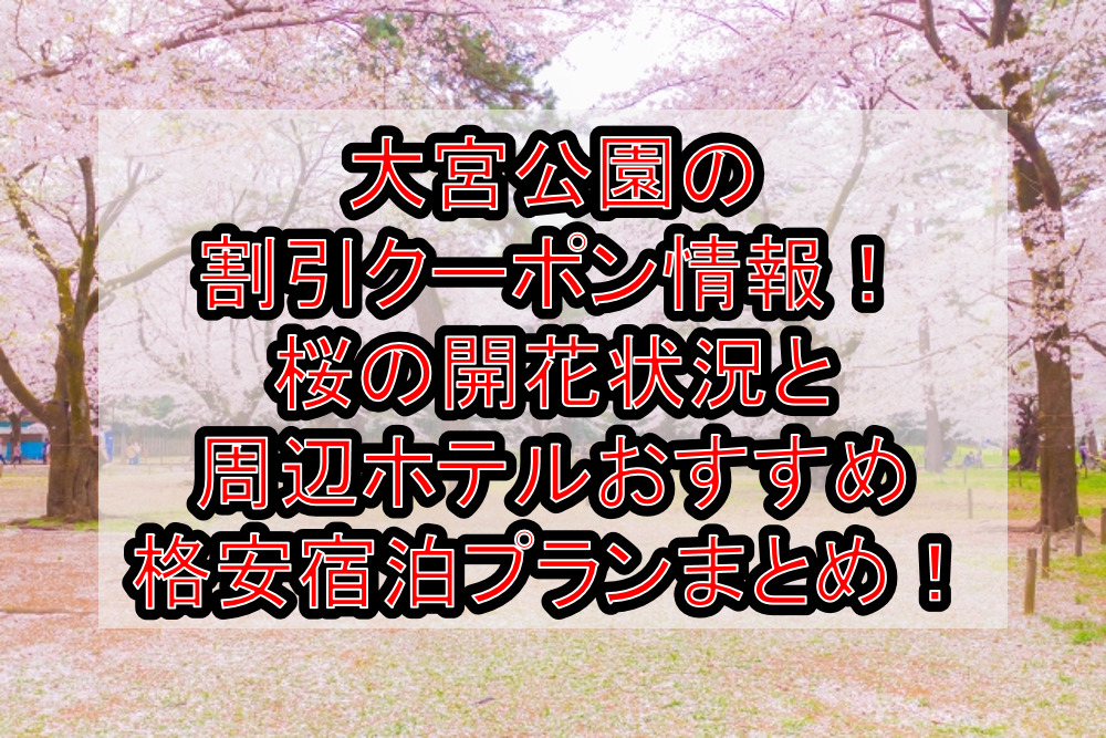大宮公園の割引クーポン情報2024!桜の開花状況と周辺ホテルおすすめ格安宿泊プランまとめ!