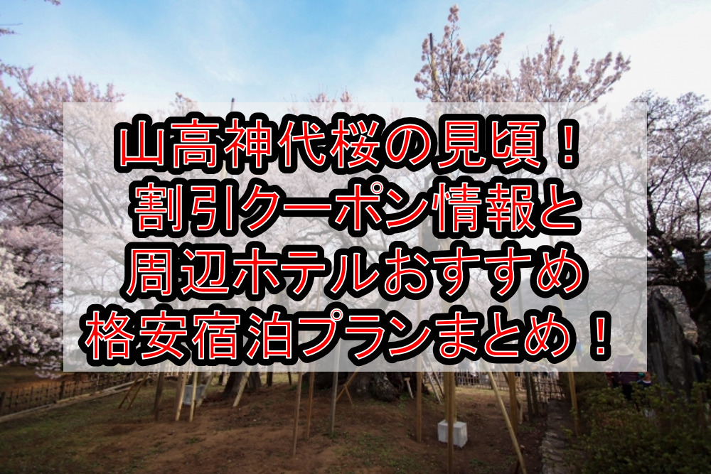 山高神代桜の見頃2024!割引クーポン情報と周辺ホテルおすすめ格安宿泊プランまとめ!