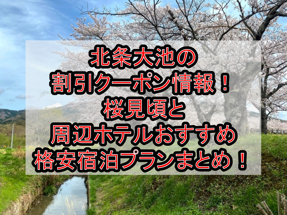 北条大池の割引クーポン情報2024!桜見頃と周辺ホテルおすすめ格安宿泊プランまとめ!