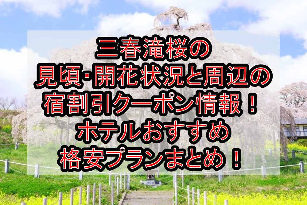 三春滝桜の見頃・開花状況と周辺の宿割引クーポン情報2024!ホテルおすすめ格安プランまとめ!
