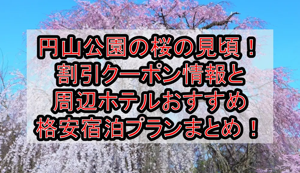 円山公園の桜の見頃2023！割引クーポン情報と周辺ホテルおすすめ格安宿泊プランまとめ！