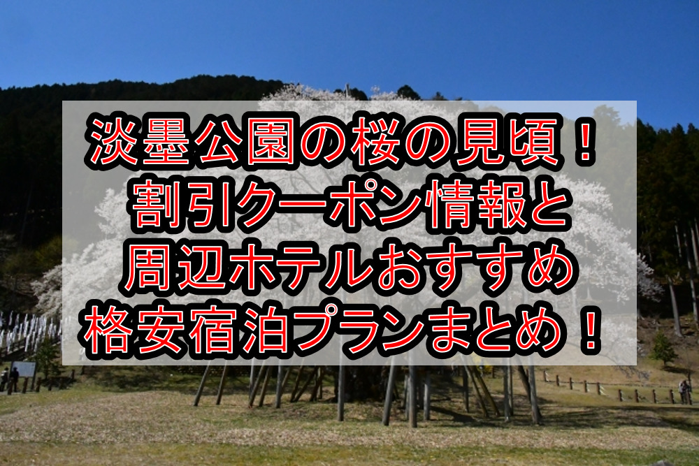 淡墨公園の桜の見頃2023！割引クーポン情報と周辺ホテルおすすめ格安宿泊プランまとめ！