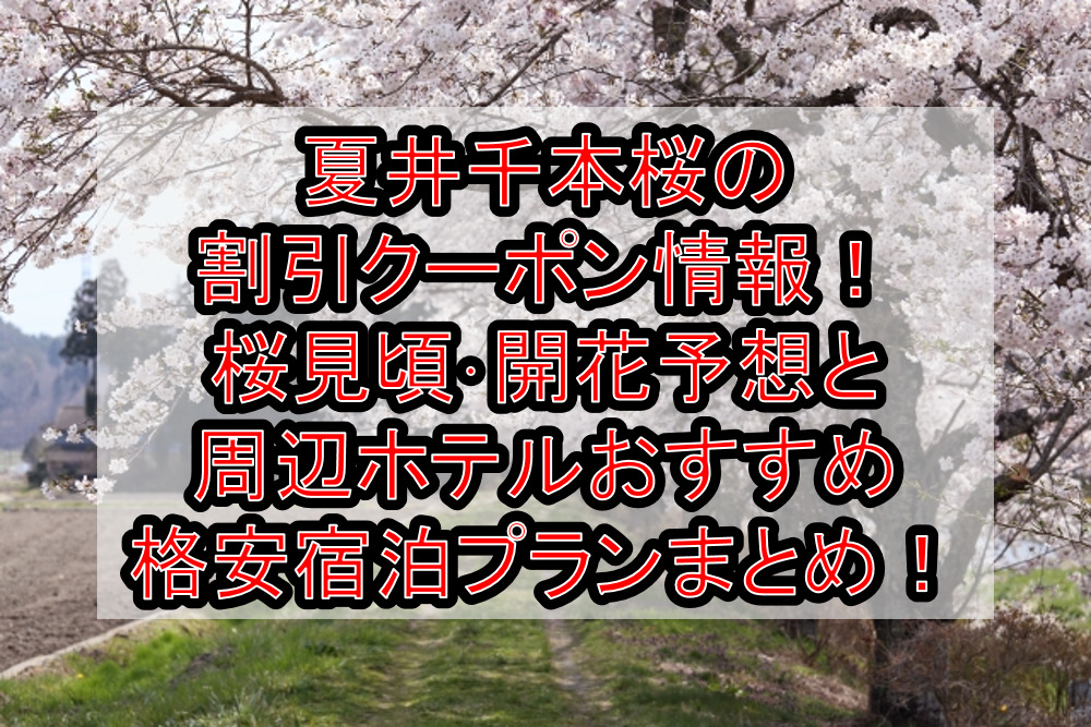 夏井千本桜の割引クーポン情報2023！桜見頃･開花予想と周辺ホテルおすすめ格安宿泊プランまとめ！