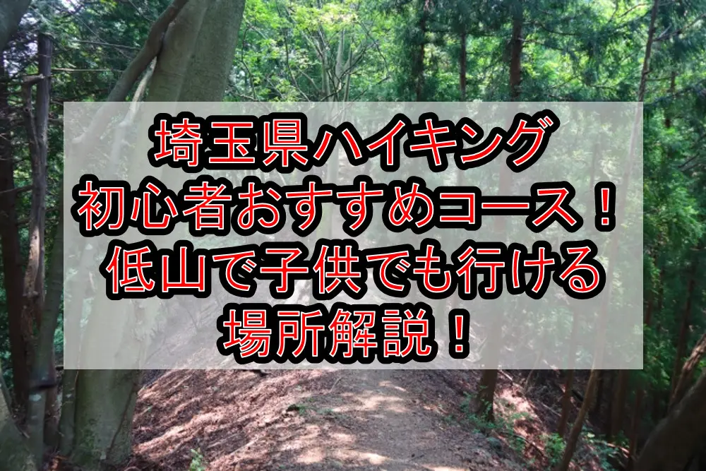 埼玉県ハイキング初心者おすすめコースまとめ！低山で子供でも行ける場所解説！