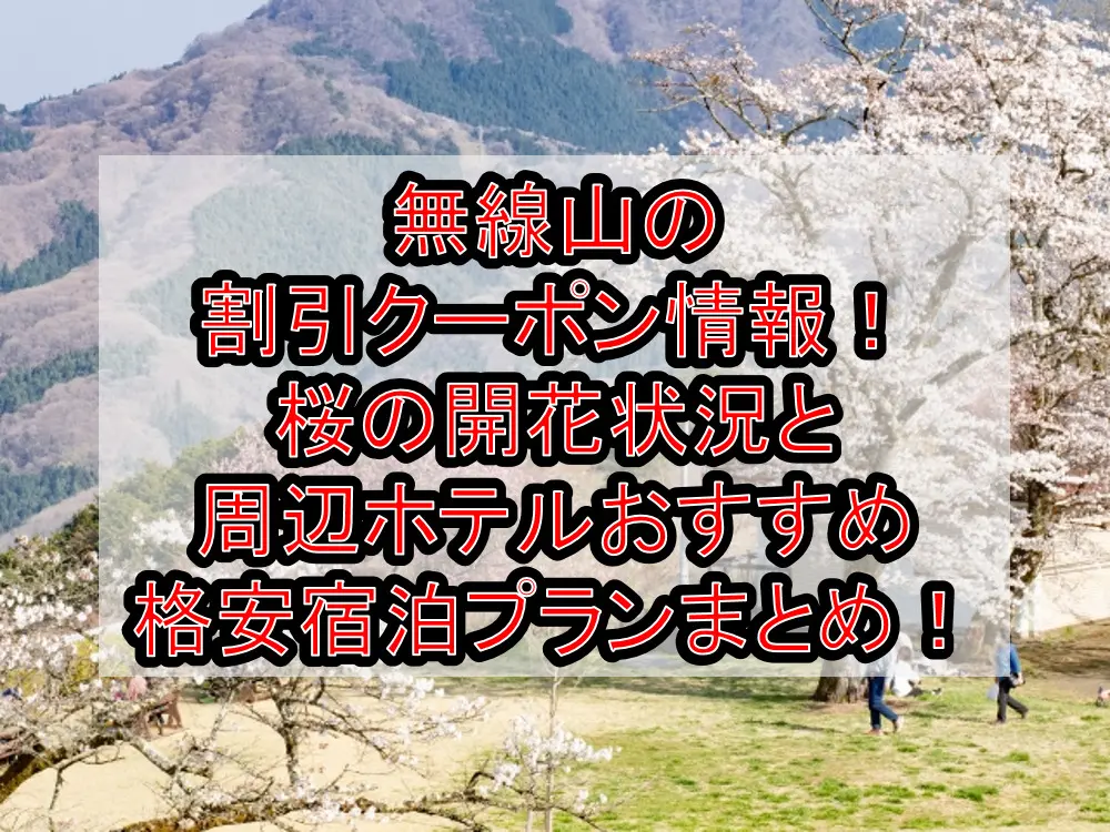 無線山の割引クーポン情報2023！桜の開花状況と周辺ホテルおすすめ格安宿泊プランまとめ！