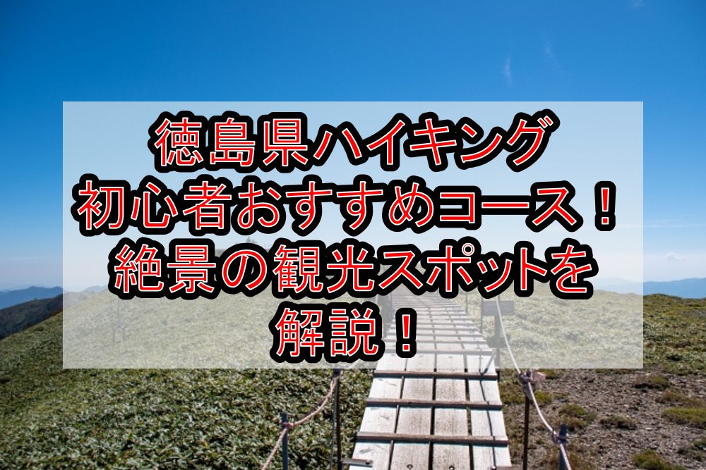 徳島県ハイキング初心者おすすめコースまとめ!絶景の観光スポットを解説!