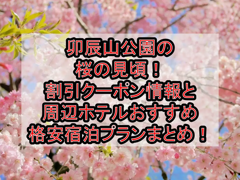 卯辰山公園の桜の見頃2023！割引クーポン情報と周辺ホテルおすすめ格安宿泊プランまとめ！