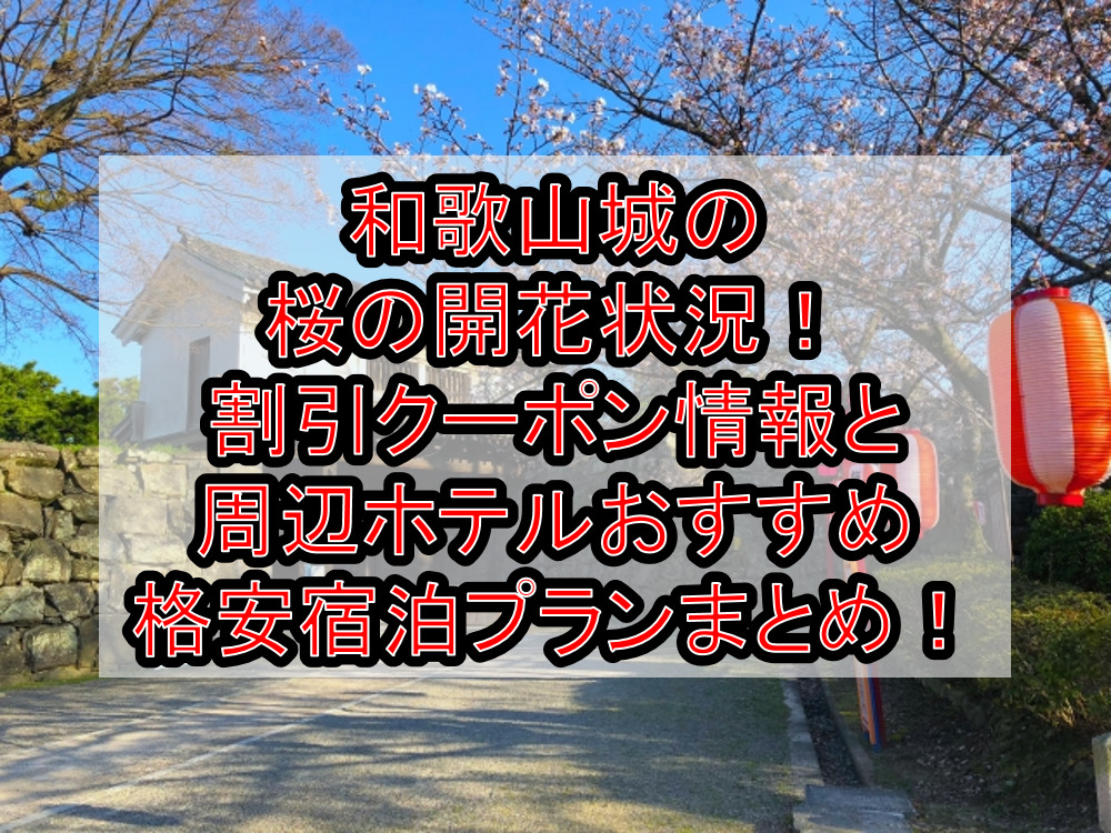 和歌山城の桜の開花状況2023！割引クーポン情報と周辺ホテルおすすめ格安宿泊プランまとめ！