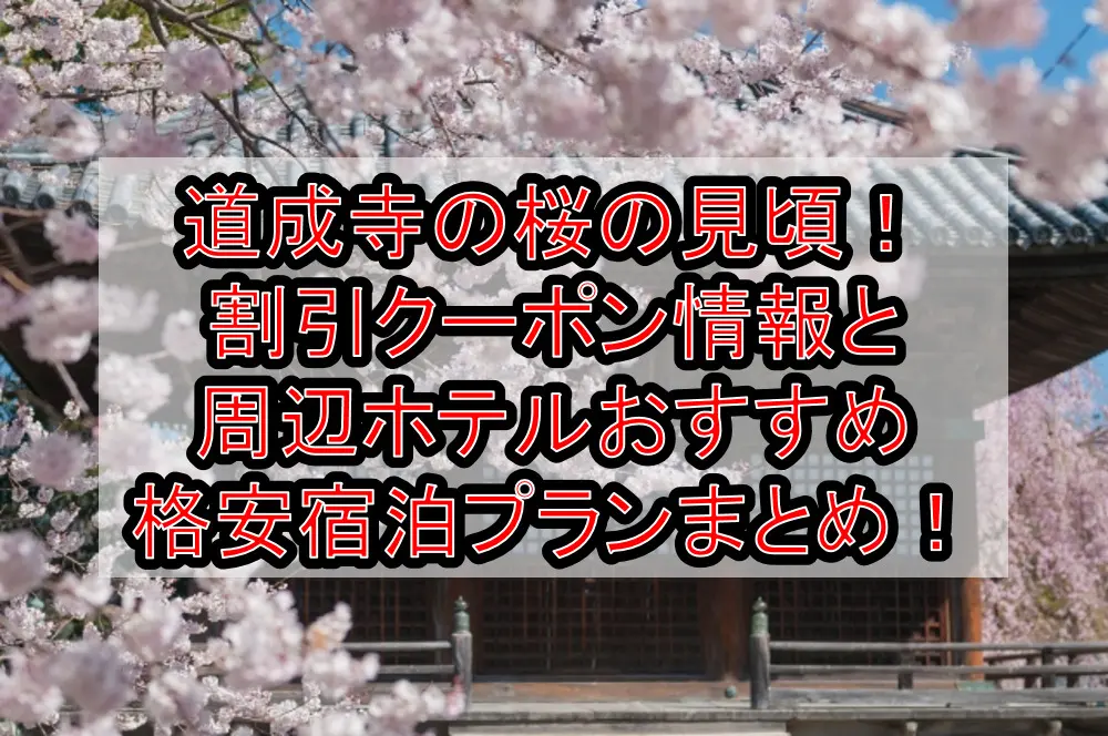 道成寺の桜の見頃2023！割引クーポン情報と周辺ホテルおすすめ格安宿泊プランまとめ！