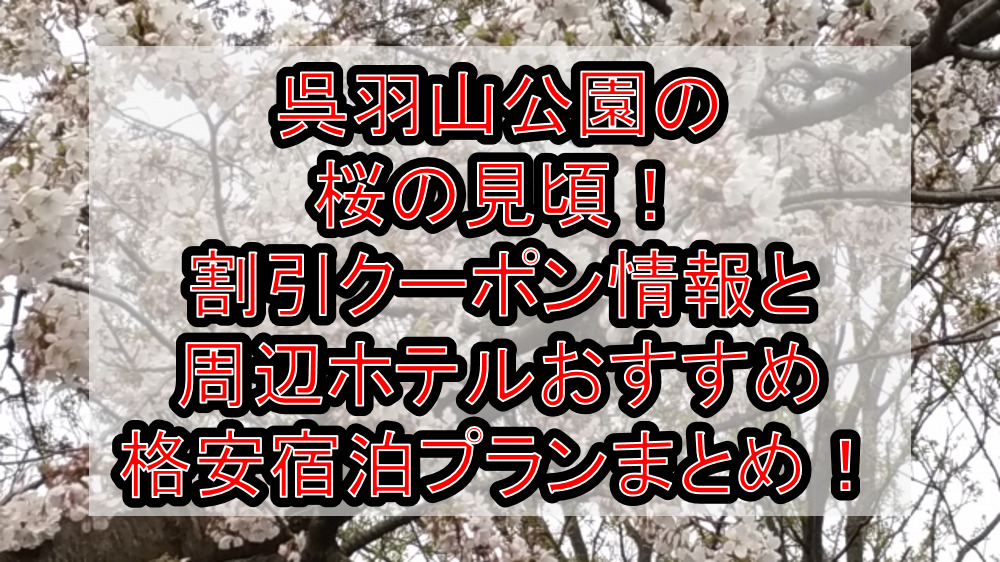 呉羽山公園の桜の見頃2023！割引クーポン情報と周辺ホテルおすすめ格安宿泊プランまとめ！