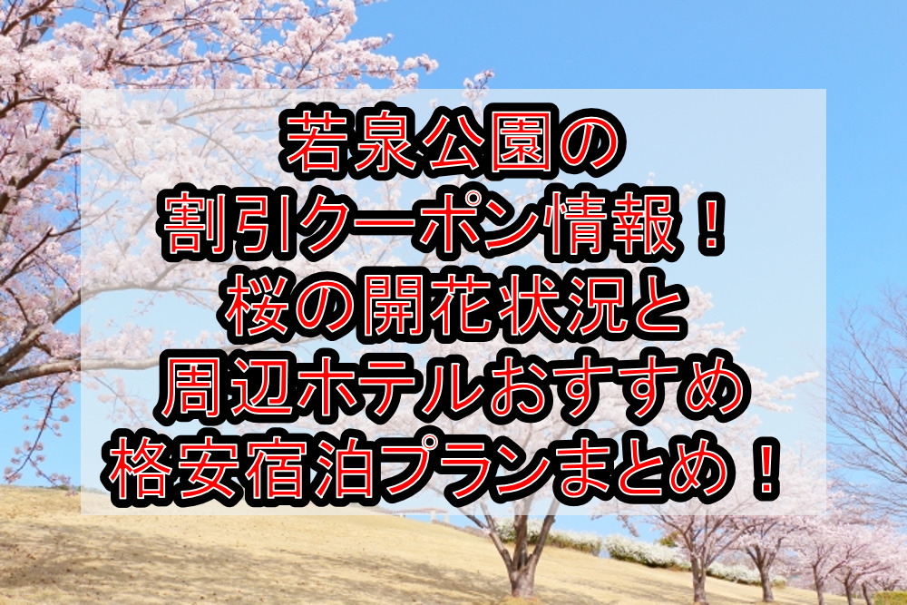 若泉公園の割引クーポン情報2024!桜の開花状況と周辺ホテルおすすめ格安宿泊プランまとめ!