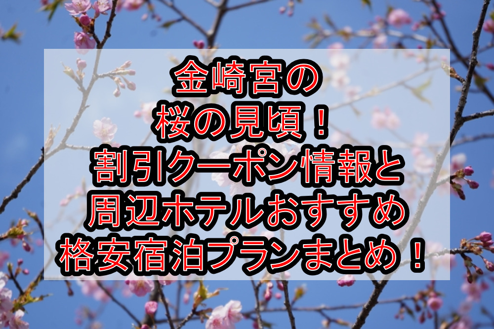 金崎宮の桜の見頃2024!割引クーポン情報と周辺ホテルおすすめ格安宿泊プランまとめ!